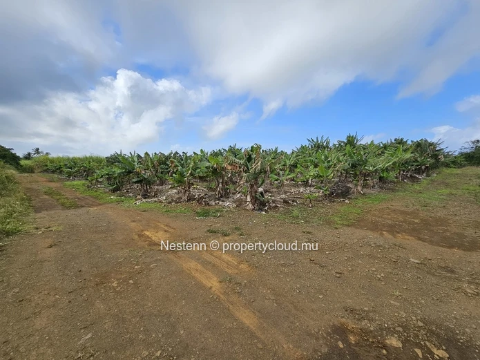 Agricultural Land of 8,146.10m² 