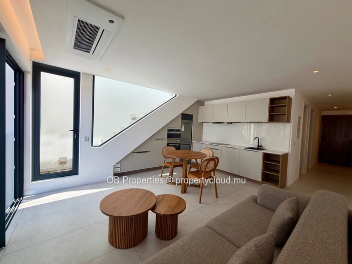 1 Bedroom Penthouse with Private Rooftop
