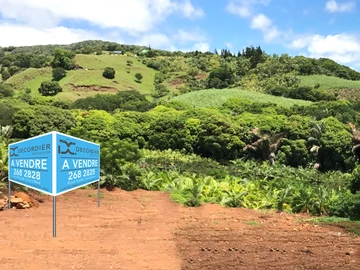 Terrain