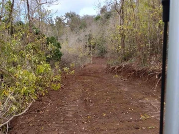 Land