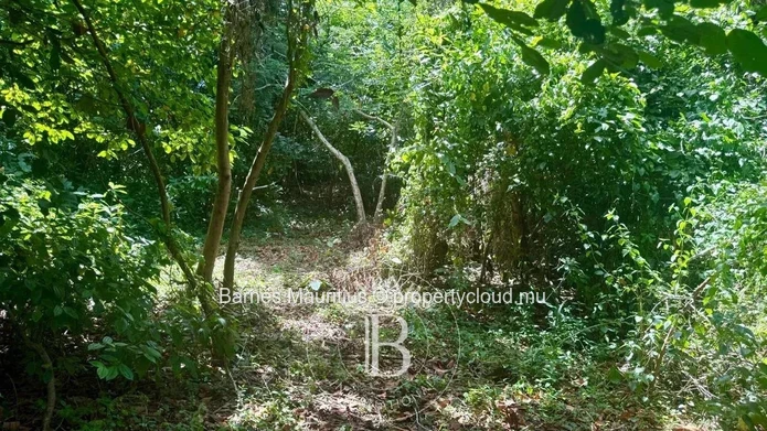 BAIE DU CAP – Terrain agricole avec vue mer et montagne - 4 789 m²