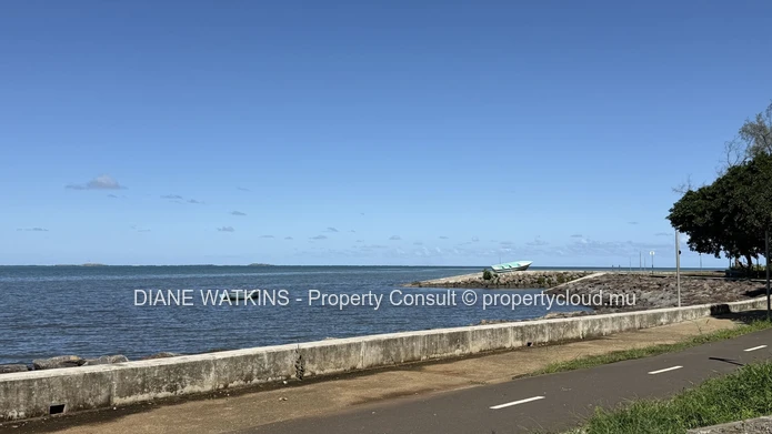 Terrain de 12 580 m² avec vue sur la montagne à vendre à Anse Jonchée, île Maurice | Opportunité éco-responsable et a...