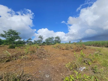 Terrain Agricole