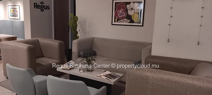 Espace de bureau ouvert pour 10 personnes à Regus Downtown