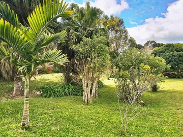 Commercial Land