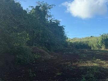 Residential Land