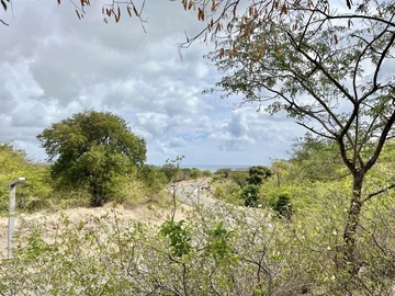 Residential Land