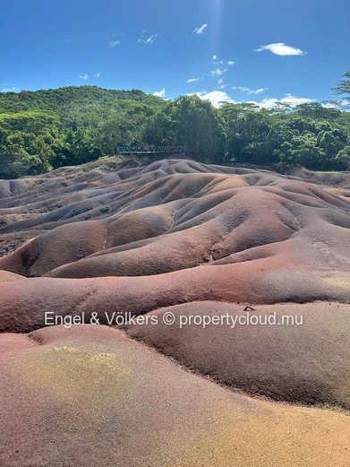Exclusive Ground-Floor Apartment with Private Pool for Sale in Flic en Flac – Reserved for Mauritian