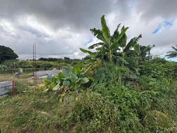 Residential Land