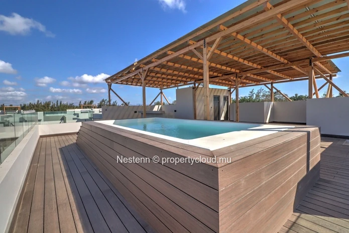 Superbe penthouse avec rooftop et piscine privée