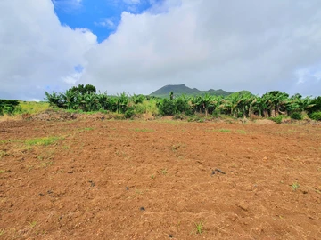 Agricultural Land
