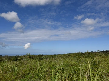 Terrain Agricole