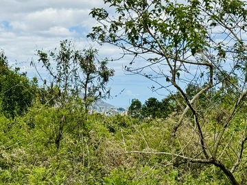 Terrain Agricole