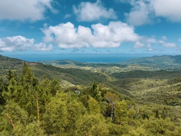 Commercial Land