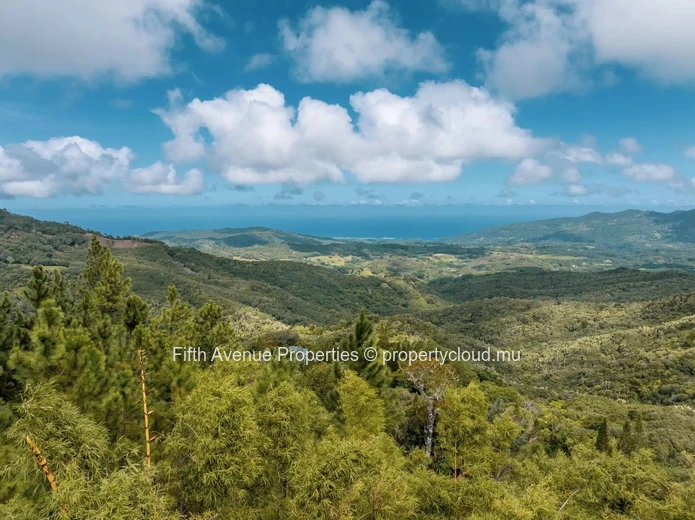 PLAINE CHAMPAGNE - TERRAIN  8900m2  COMMERCIAL