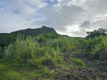 Terrain Agricole