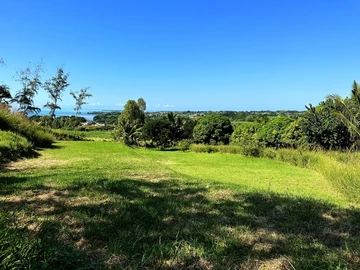 Agricultural Land of 8442sqm in Riviere des Creoles