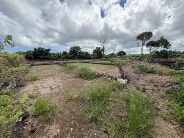 Agricultural Land