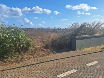 Residential Land