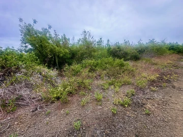 Terrain Résidentiel