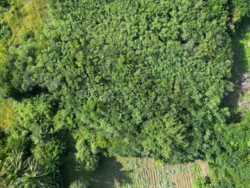 Residential Land