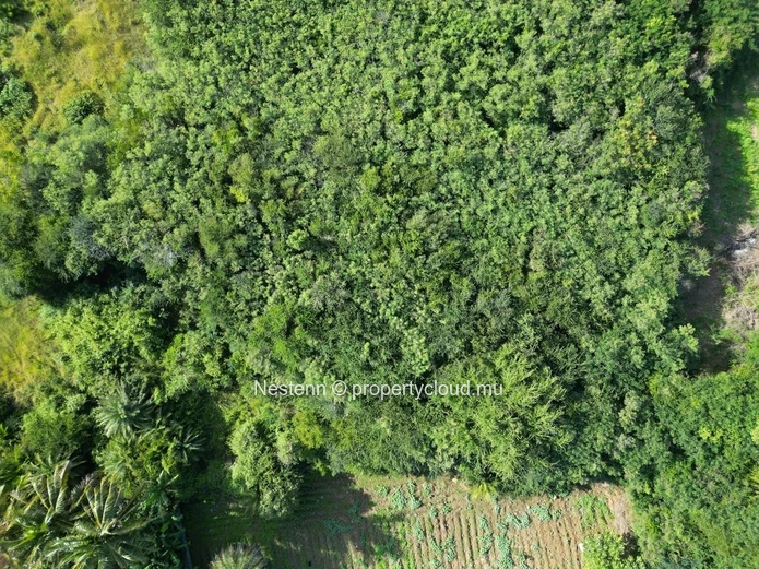 Terrain exceptionnel de 675,35 m² 