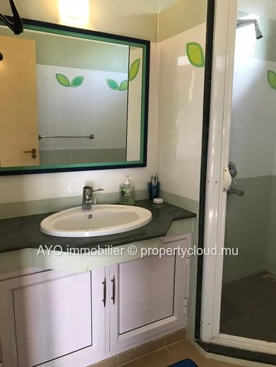Beautiful 3 beds house with pool,garden not far from the beach in Calodyne