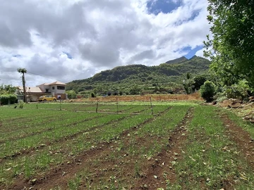 Residential Land