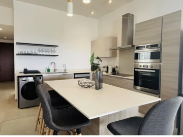 3 Bedroom Penthouse