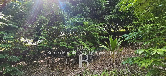 2 Bras - Terrain Agricole - 31 Arpents