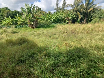 Residential Land For Sale In Calebasses