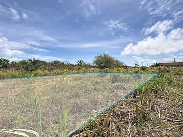 Land