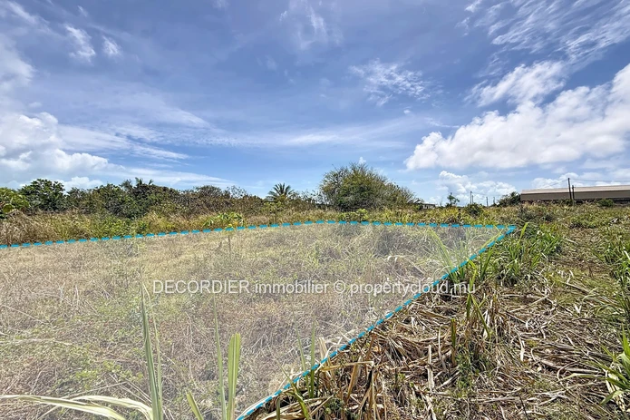 Agricultural land in a green setting in Mont Mascal
