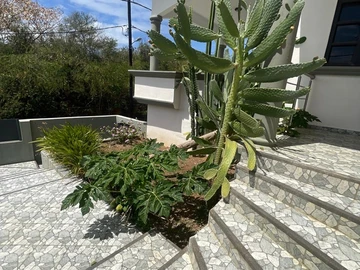 Villa de 4 Chambres