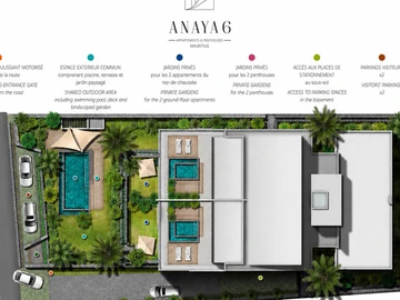 3 Bedroom Apartment