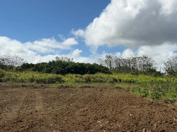 Agricultural Land