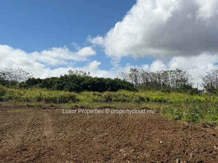 AGRICULTURAL LAND FOR SALE – Vacoas La Caverne
