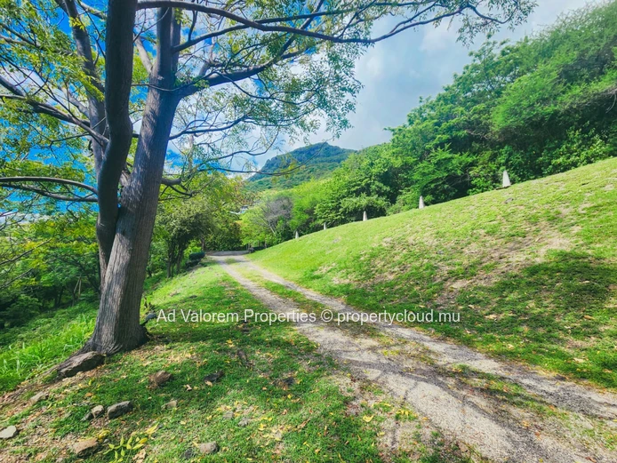 À vendre :Terrain à Rivière Noire