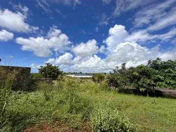 Land