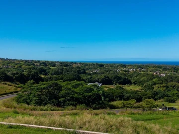 Commercial Land