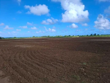 Commercial Land