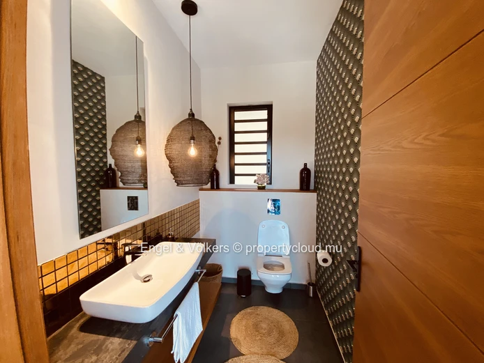 Extraordinary Villa in Petite Riviere Noire
