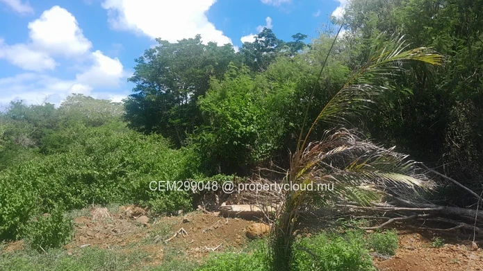 4 arpent Agricultural Land for Sale in Grand Baie