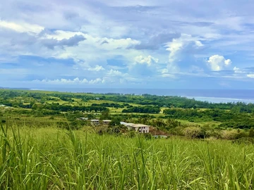 Agricultural Land