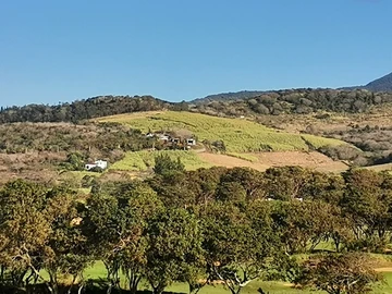 Agricultural Land