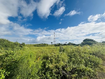 Land