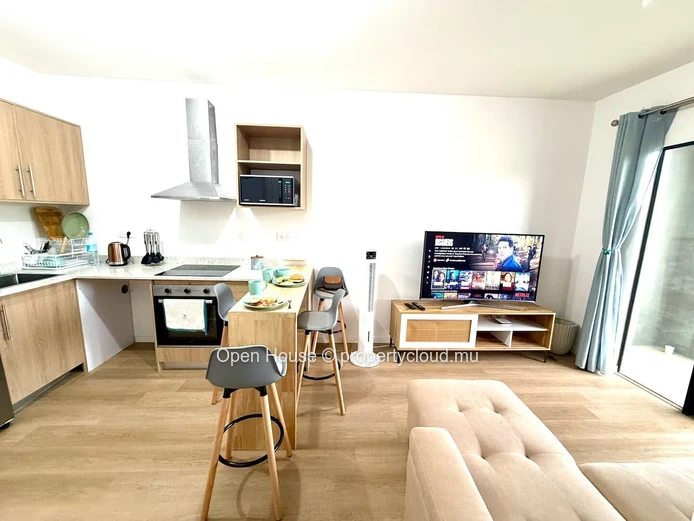 Furnished 1-Bedroom Apartment for Rent in Tamarin Smart City