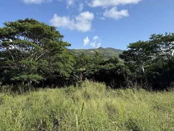 Agricultural Land