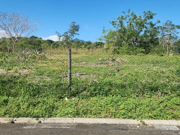 Terrain