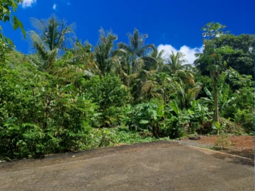 Residential plot of 970m2/22 perches 
